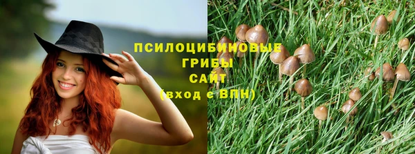 прущие крисы Абдулино