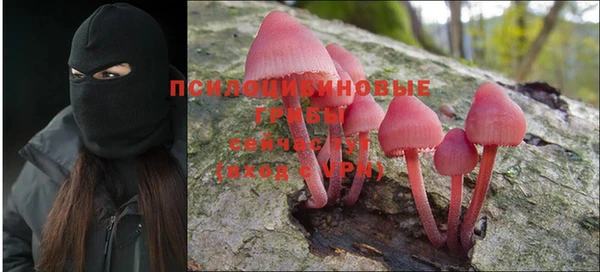 Альфа ПВП Алексин