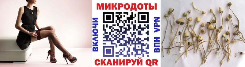где можно купить наркотик  Задонск  Галлюциногенные грибы ЛСД 