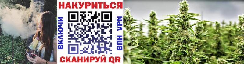 Бошки Шишки конопля  Задонск 